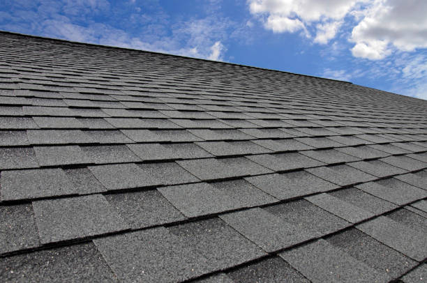 Best Skylight Installation and Repair  in Union City, IN